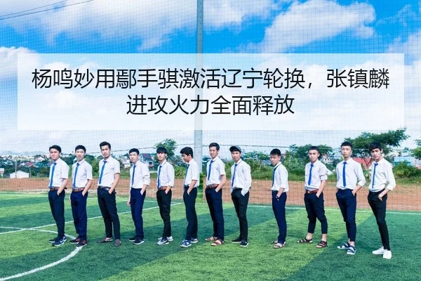 杨鸣妙用鄢手骐激活辽宁轮换，张镇麟进攻火力全面释放